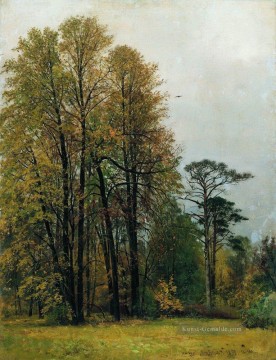 Ivan Ivanovich Shishkin Werke - Herbst 1892 klassische Landschaft Ivan Ivanovich